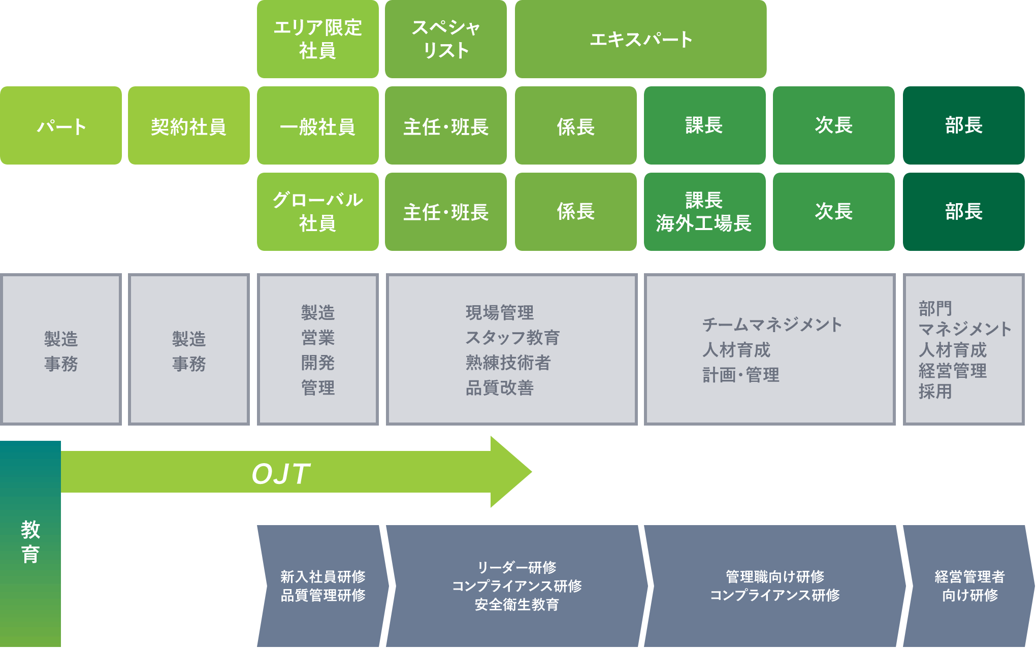 キャリアパスイメージ図